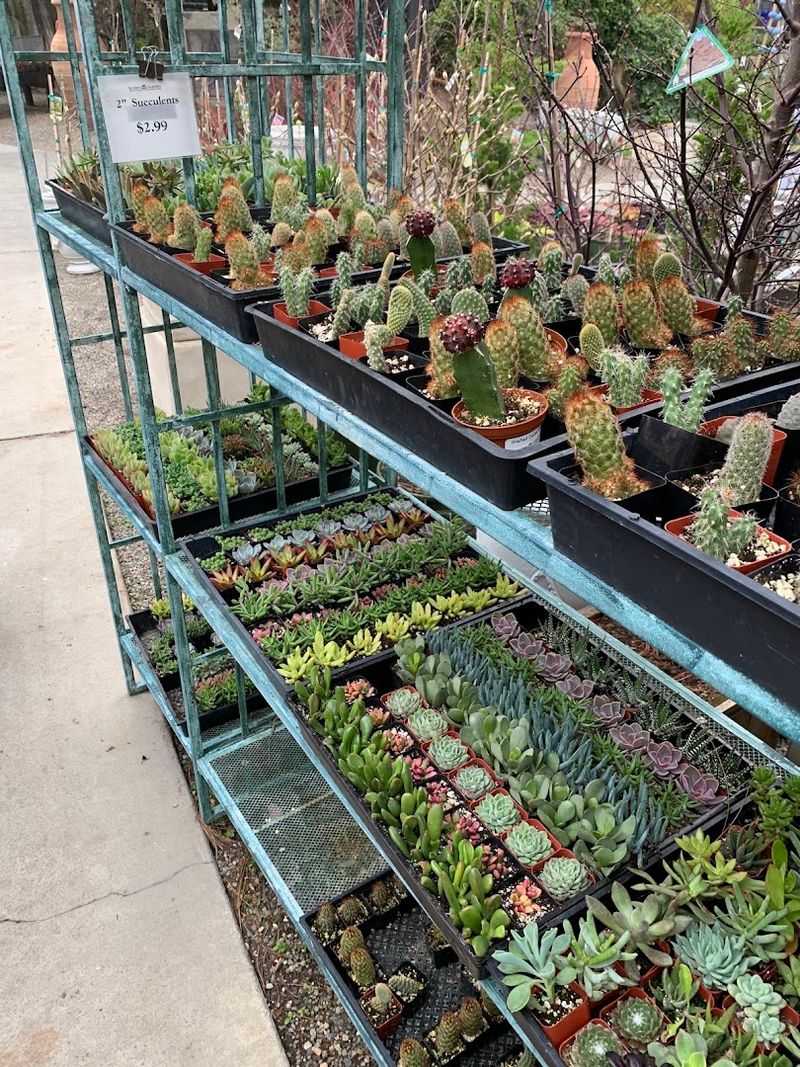 Roger's Gardens — Corona Del Mar