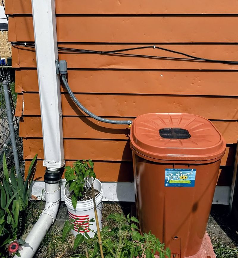 Roof Runoff Provides A Steady Source Of Free Water Roof Runoff Provides A Steady Source Of Free Water
