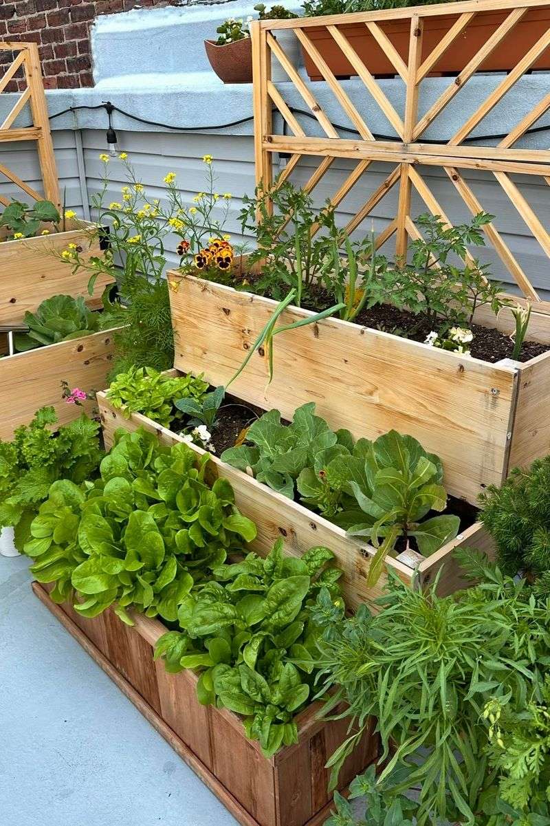 Rooftop Gardens Battle Weight Limits Wind And Heat Suburban Yards Skip Rooftop Gardens Battle Weight Limits Wind And Heat Suburban Yards Skip