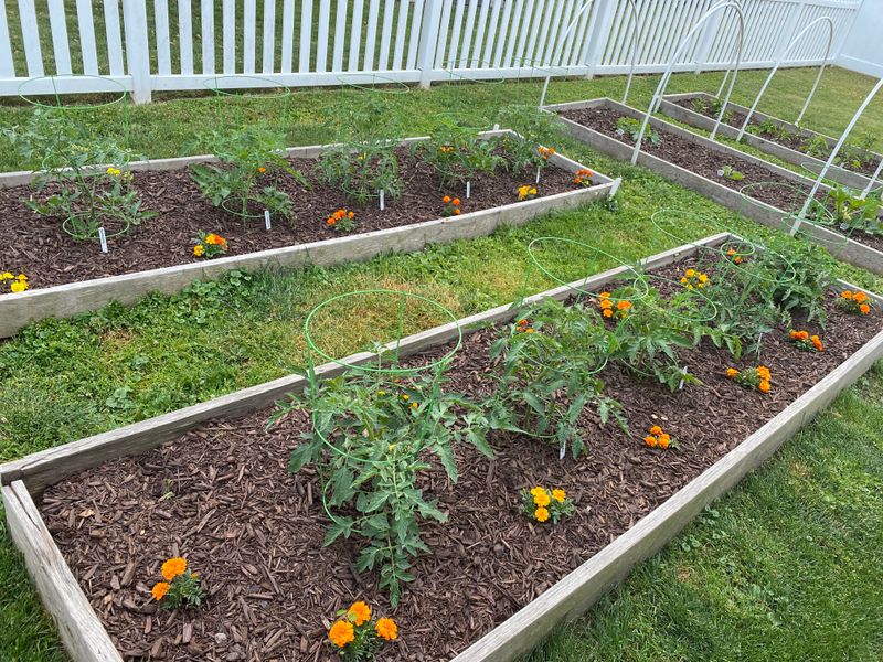 Rotate Vegetable Families Each Season Rotate Vegetable Families Each Season
