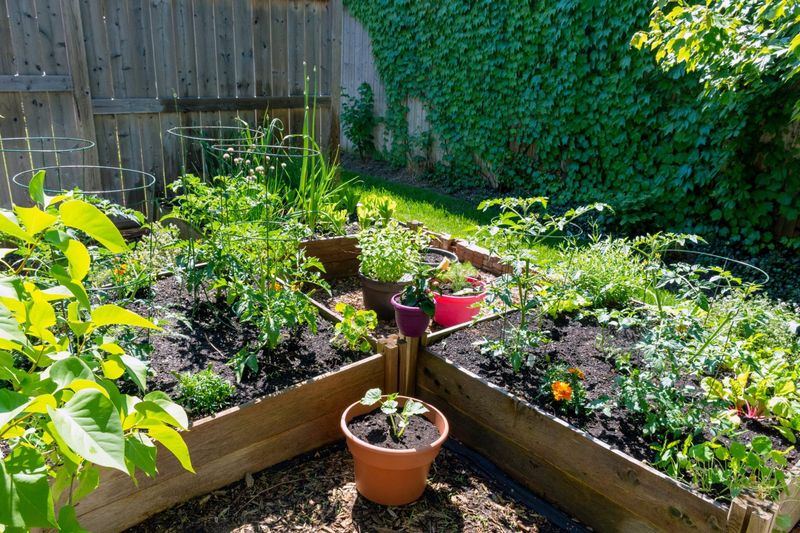 Rotating Crop Families Between Garden Beds Rotating Crop Families Between Garden Beds