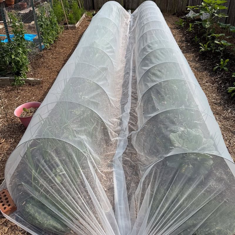 Row Covers Help Next Planting Row Covers Help Next Planting