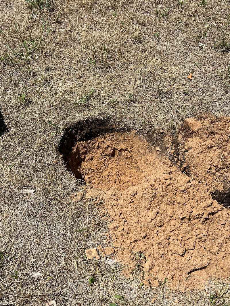 Sandy Michigan Soil Can Release Water Very Quickly