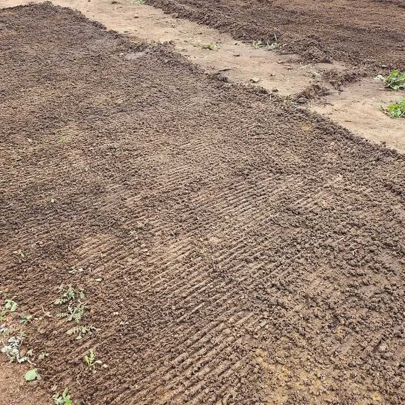 Sandy Soil May Need Extra Moisture Support Sandy Soil May Need Extra Moisture Support