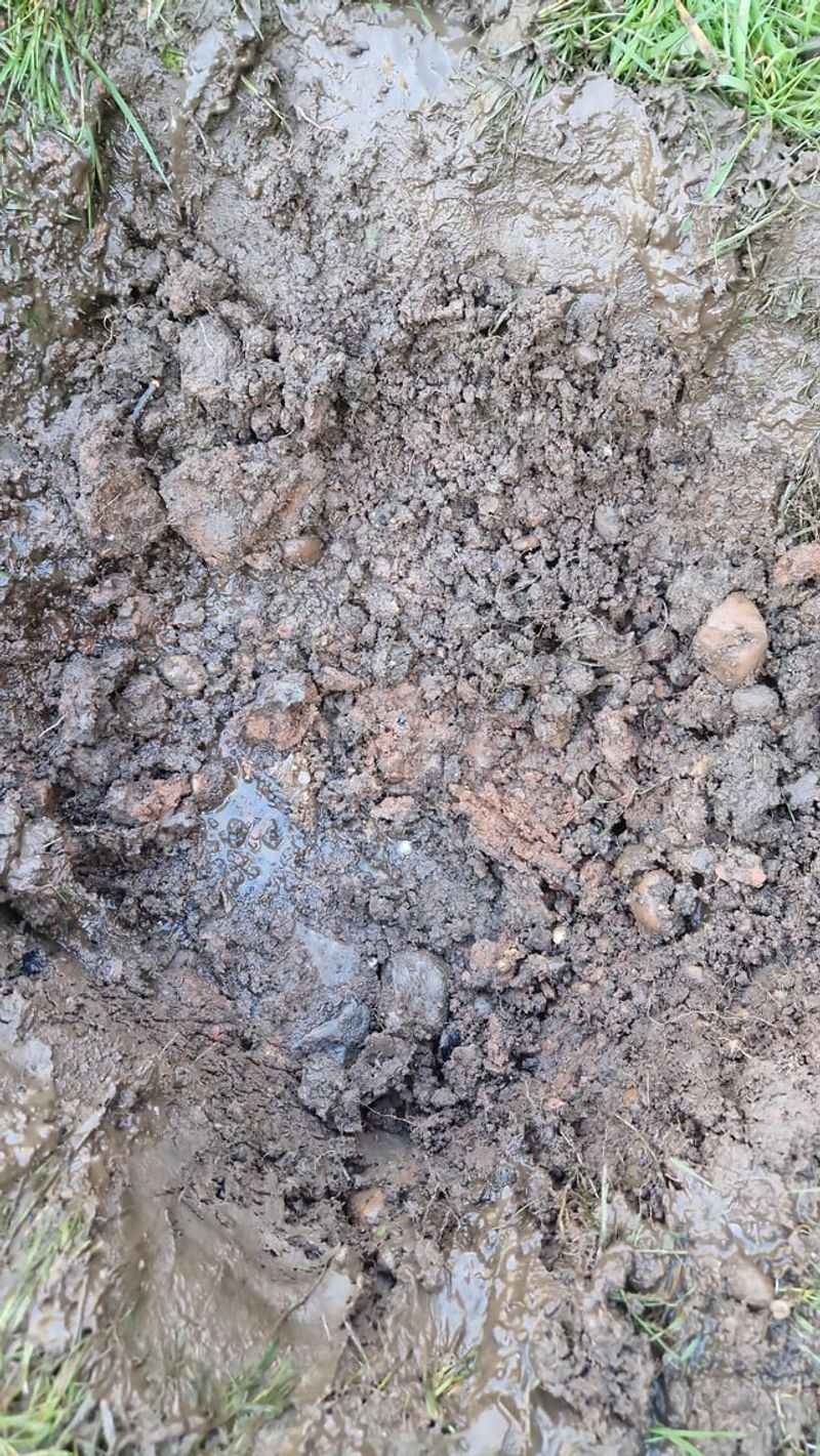 Saturated Soil May Be Sending Water Across The Surface Saturated Soil May Be Sending Water Across The Surface