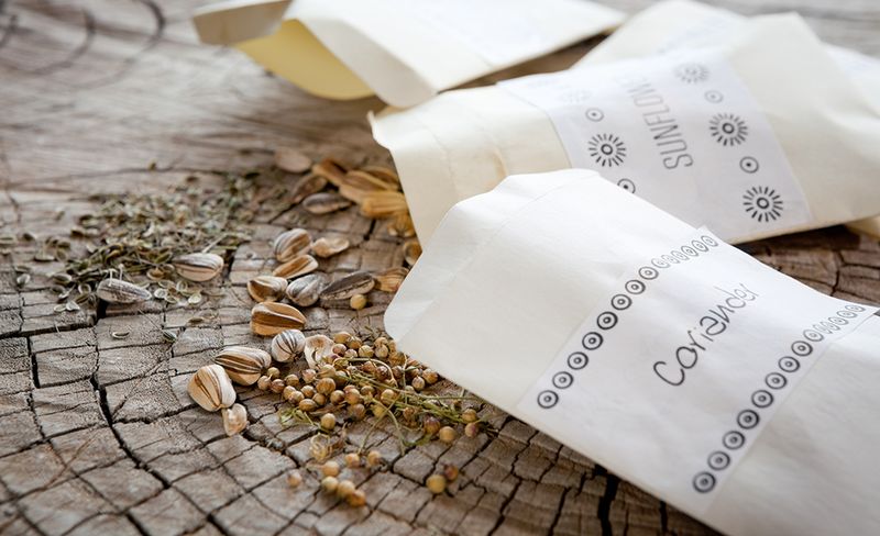 Save Seeds From Plants That Proved Themselves Save Seeds From Plants That Proved Themselves