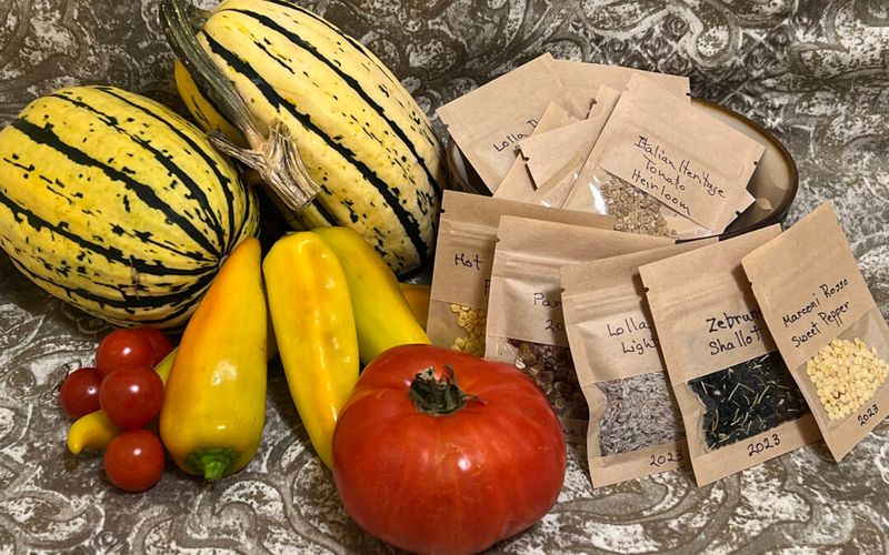 Saving Seeds From Suitable Varieties Saving Seeds From Suitable Varieties