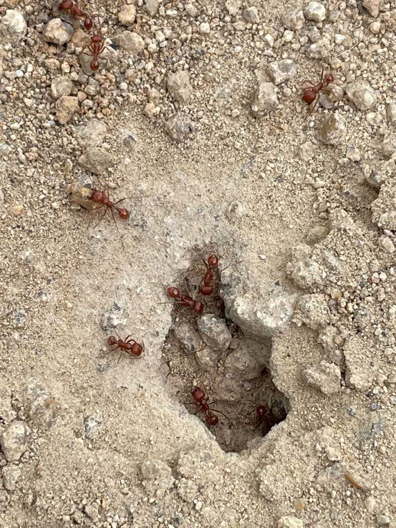 Scattered Workers Can Make The Problem Look Bigger
