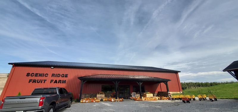 Scenic Ridge Fruit Farm Starts Summer Strong