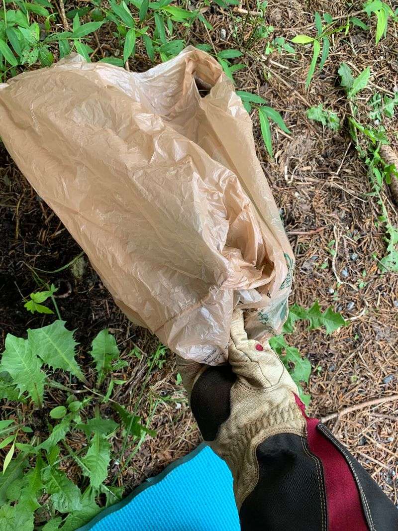 Seal Every Vine Inside Heavy Duty Trash Bags Seal Every Vine Inside Heavy Duty Trash Bags