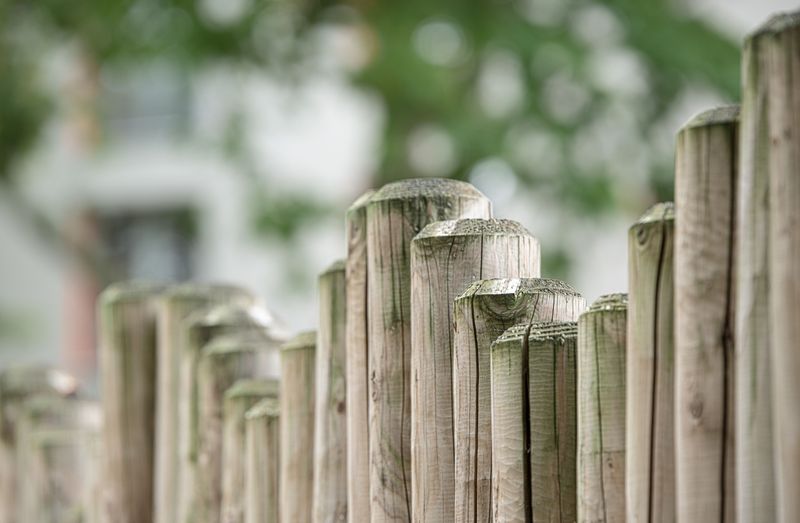 Sealing And Treating Wood To Make Posts Less Appealing