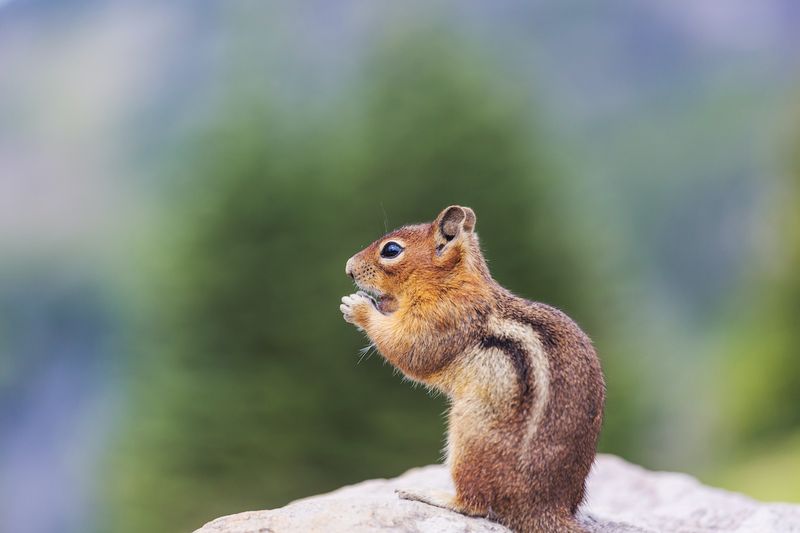Seasonal Behavior May Be Changing Seasonal Behavior May Be Changing