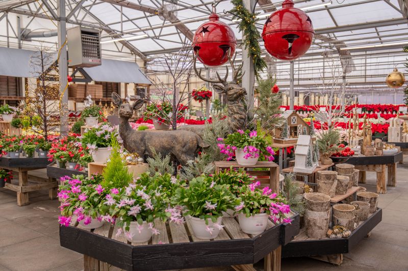 Seasonal Sales And Events Worth Planning Your Visit Around Seasonal Sales And Events Worth Planning Your Visit Around
