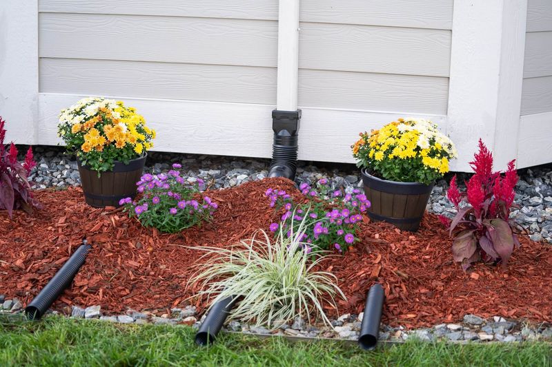 Send Downspouts Into Plants