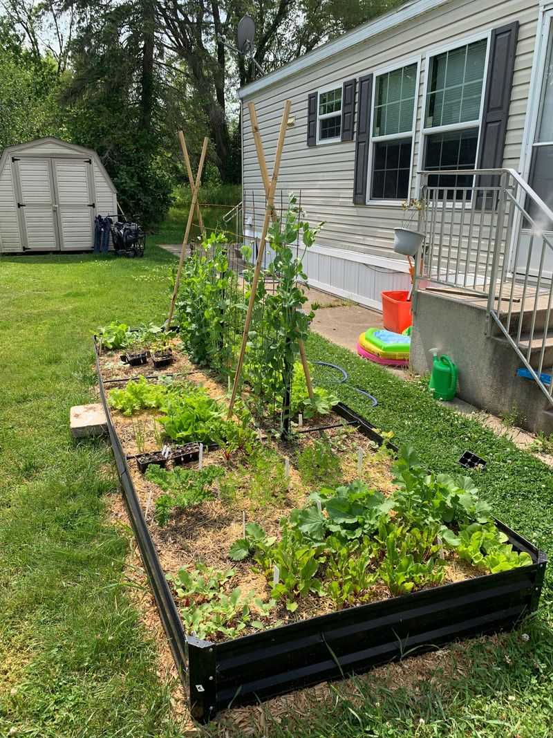 September Beds Are Shaped In July September Beds Are Shaped In July