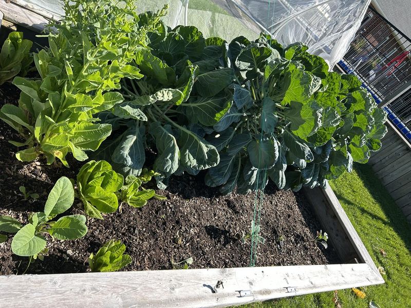 September Planting Comes Fast