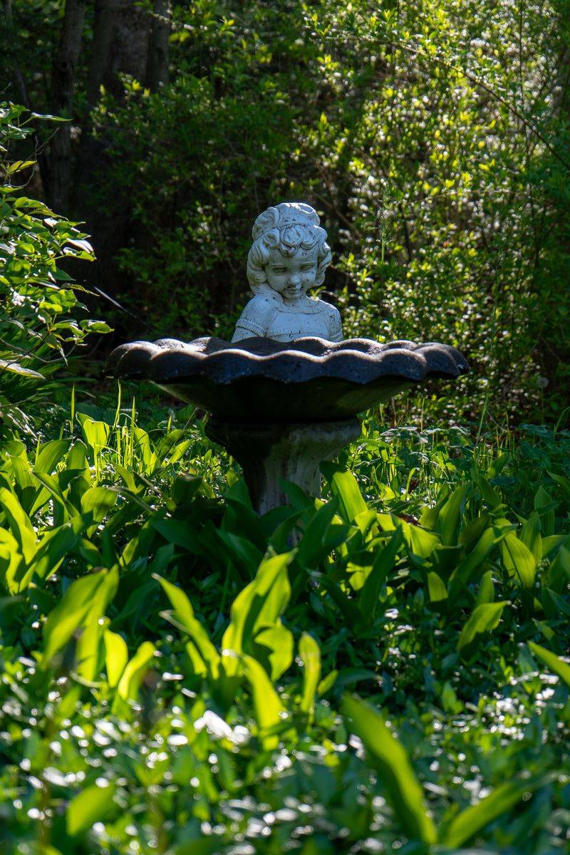 Set A Birdbath Or Statue Beside It Set A Birdbath Or Statue Beside It