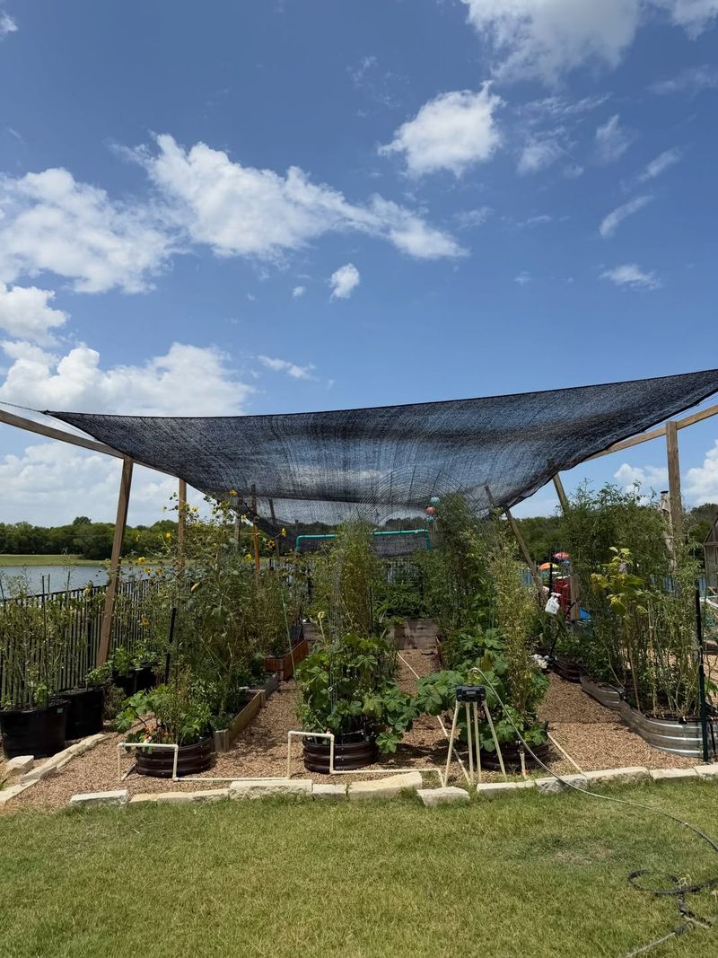 Shade Cloth Prevents Leaf Scorch