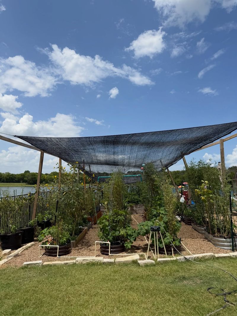 Shade Cloth Protects Plants From Harsh Sun Shade Cloth Protects Plants From Harsh Sun