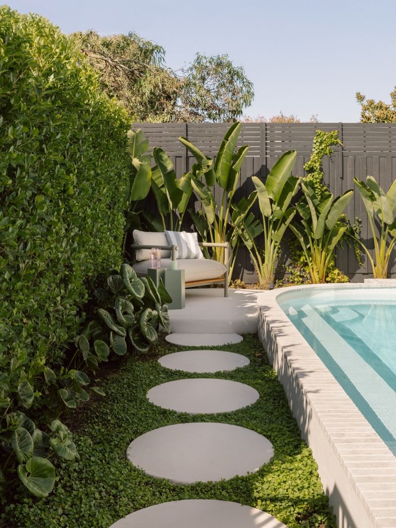 Shade and Partial Sun Are No Problem For This Groundcover