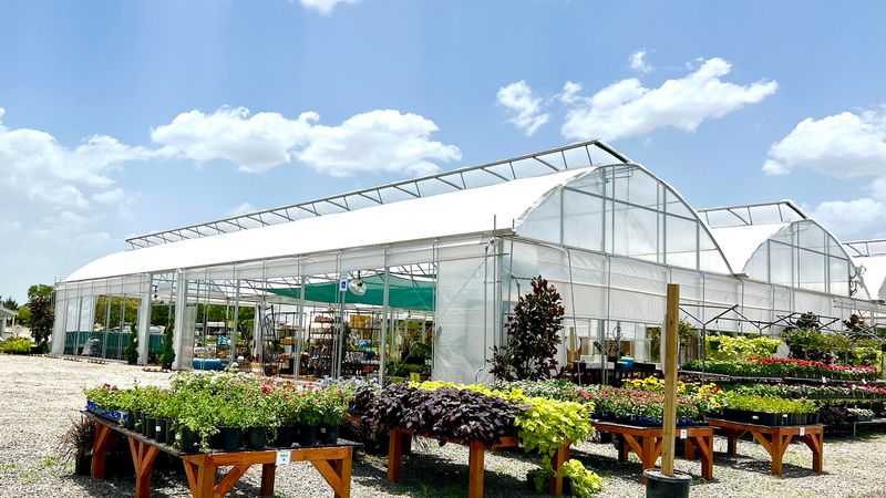 Shades Of Green Nursery + Landscape - Celina