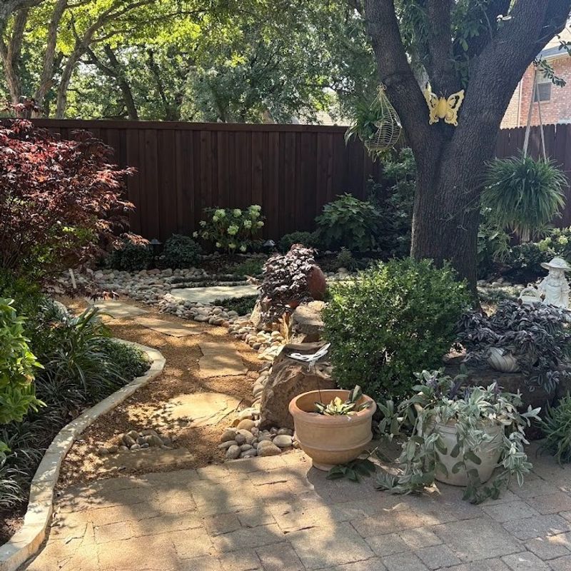 Shady Areas Stay Cooler And More Humid