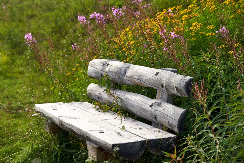 Shape It Into A Rustic Garden Seat Shape It Into A Rustic Garden Seat