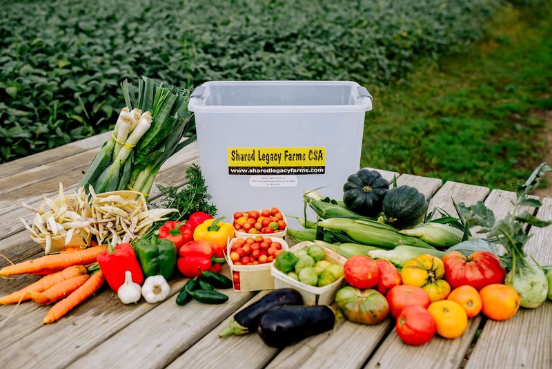 Shared Legacy Farms Brings The Tomato Rows