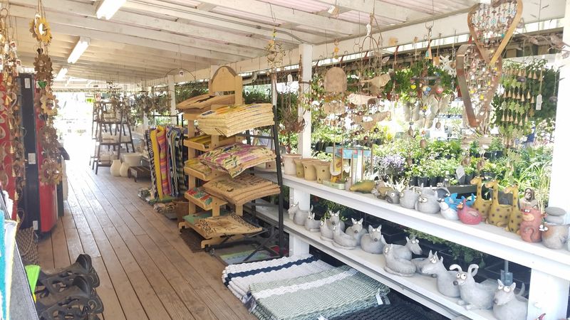 Shop Buchanan's Native Plants In Houston Shop Buchanan's Native Plants In Houston