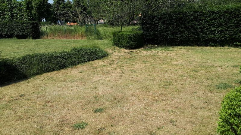 Short Grass Loses Moisture Faster Short Grass Loses Moisture Faster