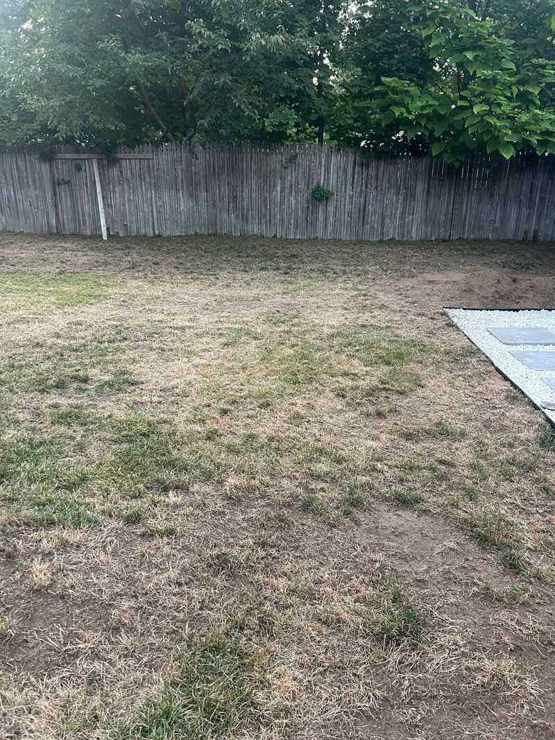 Short Lawns Lose Moisture Much Faster
