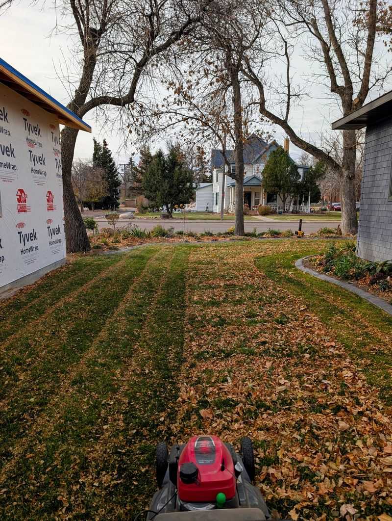 Shred Thick Leaf Piles First Shred Thick Leaf Piles First