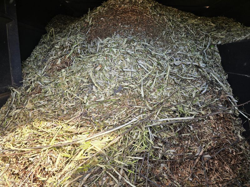 Shredded Hardwood Can Mat Into Damp Shelter Shredded Hardwood Can Mat Into Damp Shelter
