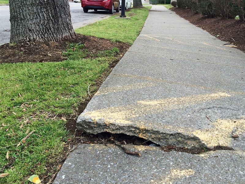 Sidewalk Repairs Become Expensive