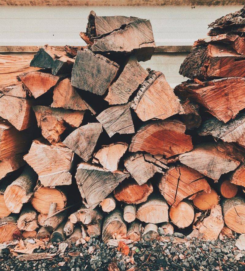 Signs Cockroaches Have Moved Into Your Wood Pile