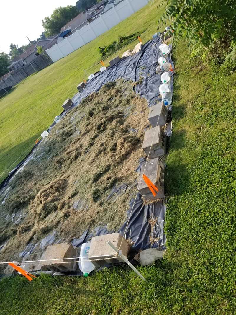 Signs Your Compost Pile Is Already Responding