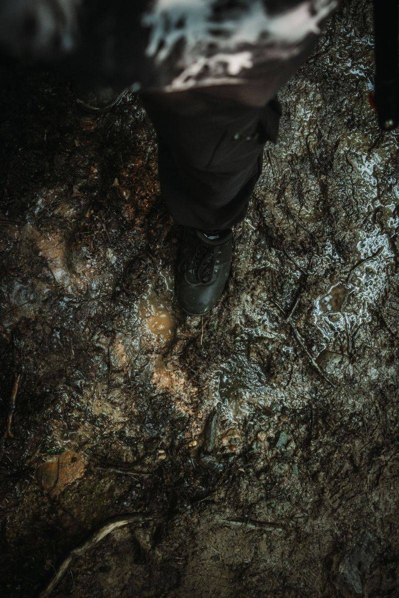 Signs Your Pennsylvania Soil Is Too Wet To Walk On