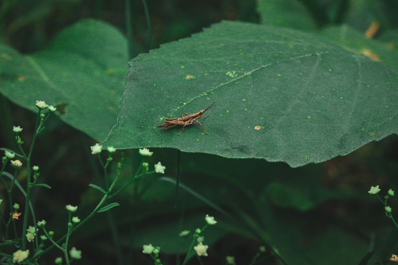 Signs Your Yard Has Lost More Than Just Mosquitoes Signs Your Yard Has Lost More Than Just Mosquitoes