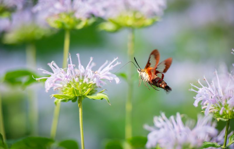 Simple Additions Keep Them Visiting All Season