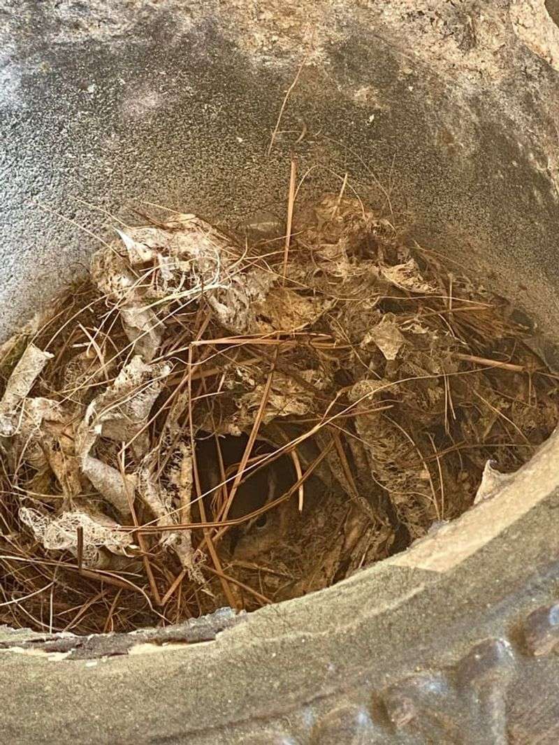Simple Changes Can Discourage Repeat Nesting