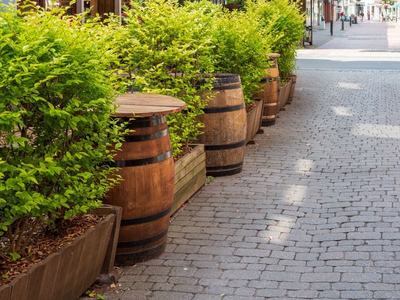 Simple Fixes That Extend A Barrel Planter's Life Simple Fixes That Extend A Barrel Planter's Life