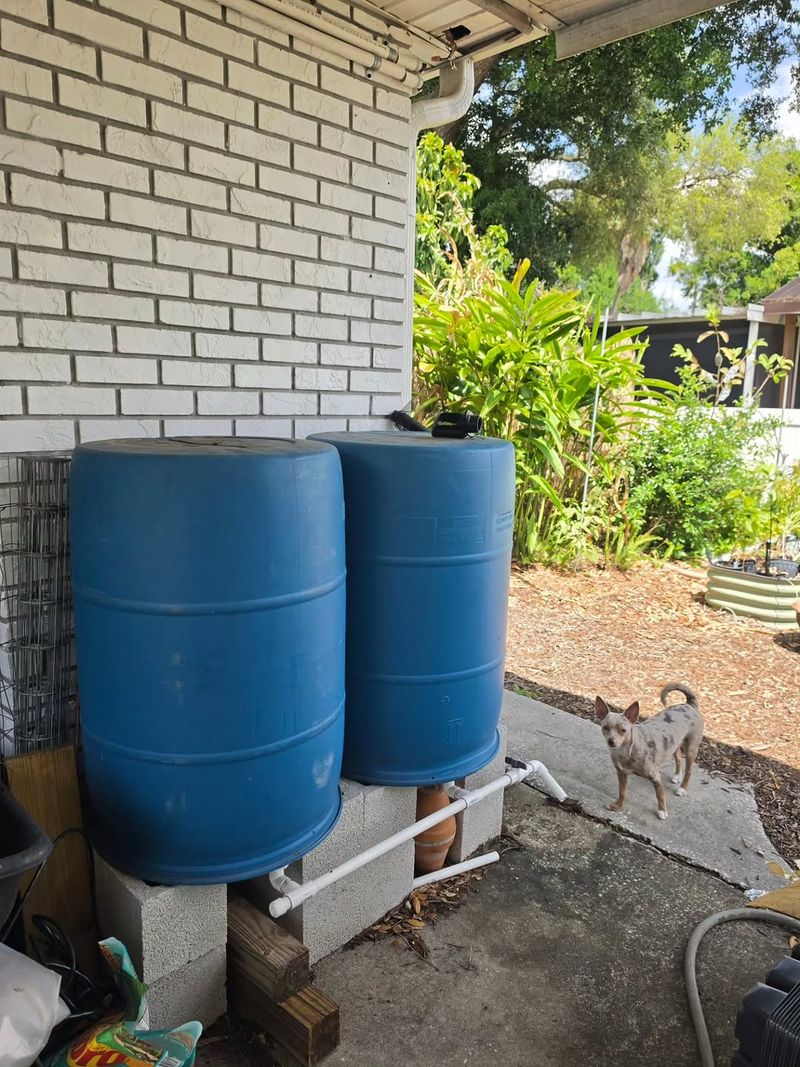 Simple Placement Improves How Much Water You Collect Simple Placement Improves How Much Water You Collect