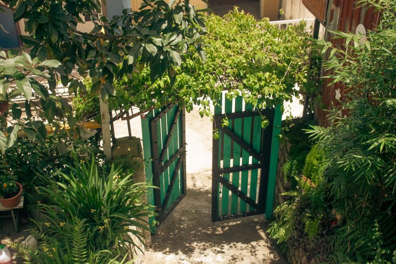 Simple Ways To Invite More Into Your Yard