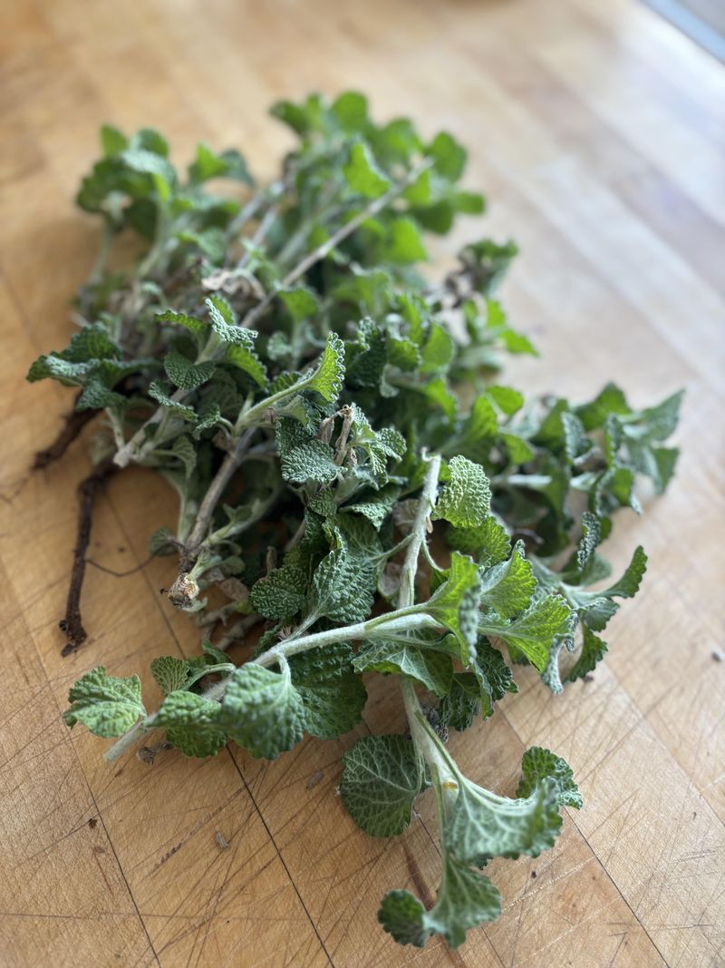 Simple Ways To Use Horehound In The Modern Garden Simple Ways To Use Horehound In The Modern Garden