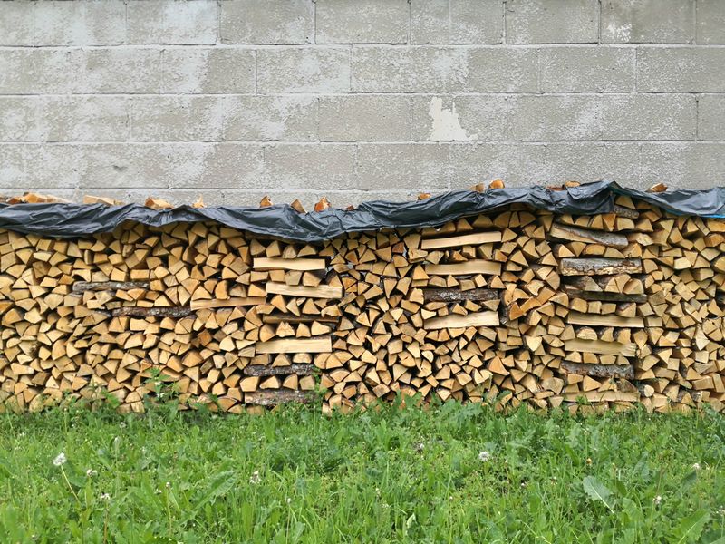 Simple Ways to Store Wood Without Inviting Pests