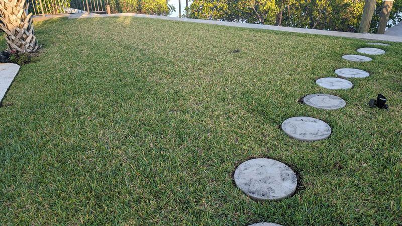 Skip Fertilizer Before Heavy Rain Skip Fertilizer Before Heavy Rain