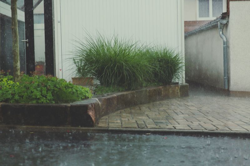 Skip Fertilizing Your Lawn Before A Heavy Rain Skip Fertilizing Your Lawn Before A Heavy Rain