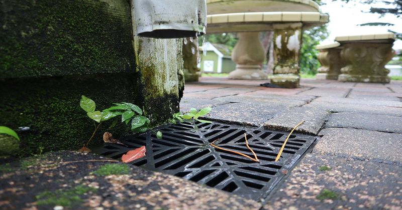 Skip Harsh Runoff Near Drains And Garden Beds