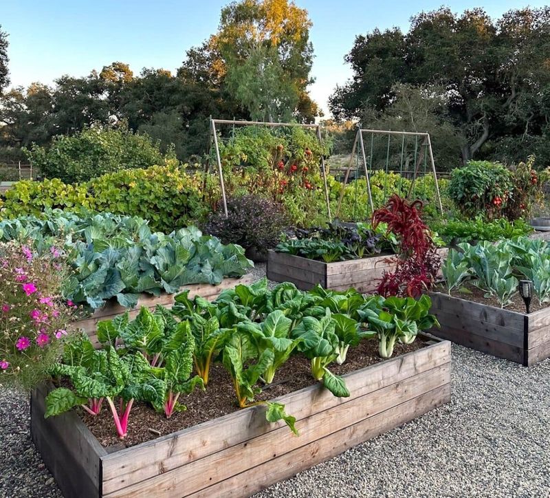 Skip Heavy Fertilizing, Pruning, And Transplanting This Week Skip Heavy Fertilizing, Pruning, And Transplanting This Week