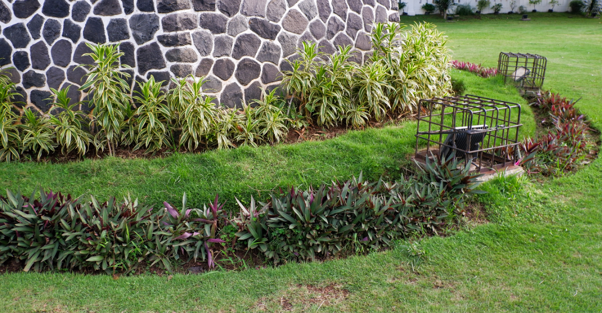 foundation border